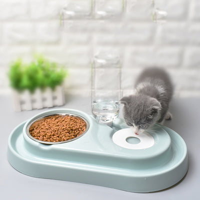 Cat Water Feeder Bowl